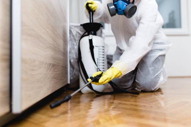Best Best Pest Control Companies  in Maybrook, NY
