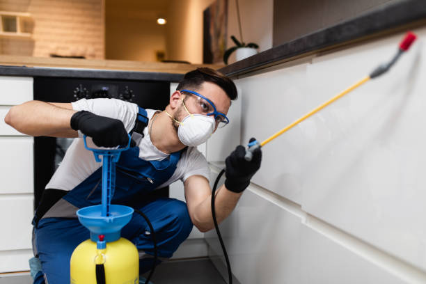 Best Best Pest Control Companies  in Maybrook, NY