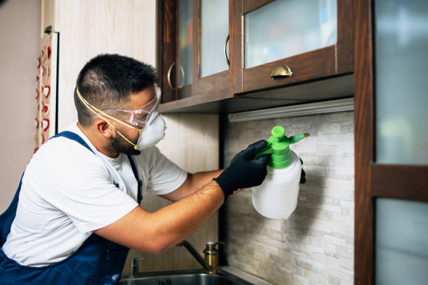Best Pest Removal Services  in Maybrook, NY