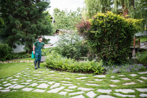 Pest Control Cost in Maybrook, NY