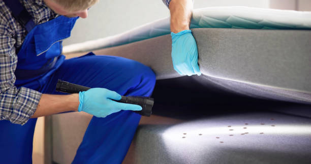 Best Affordable Pest Control Services  in Maybrook, NY